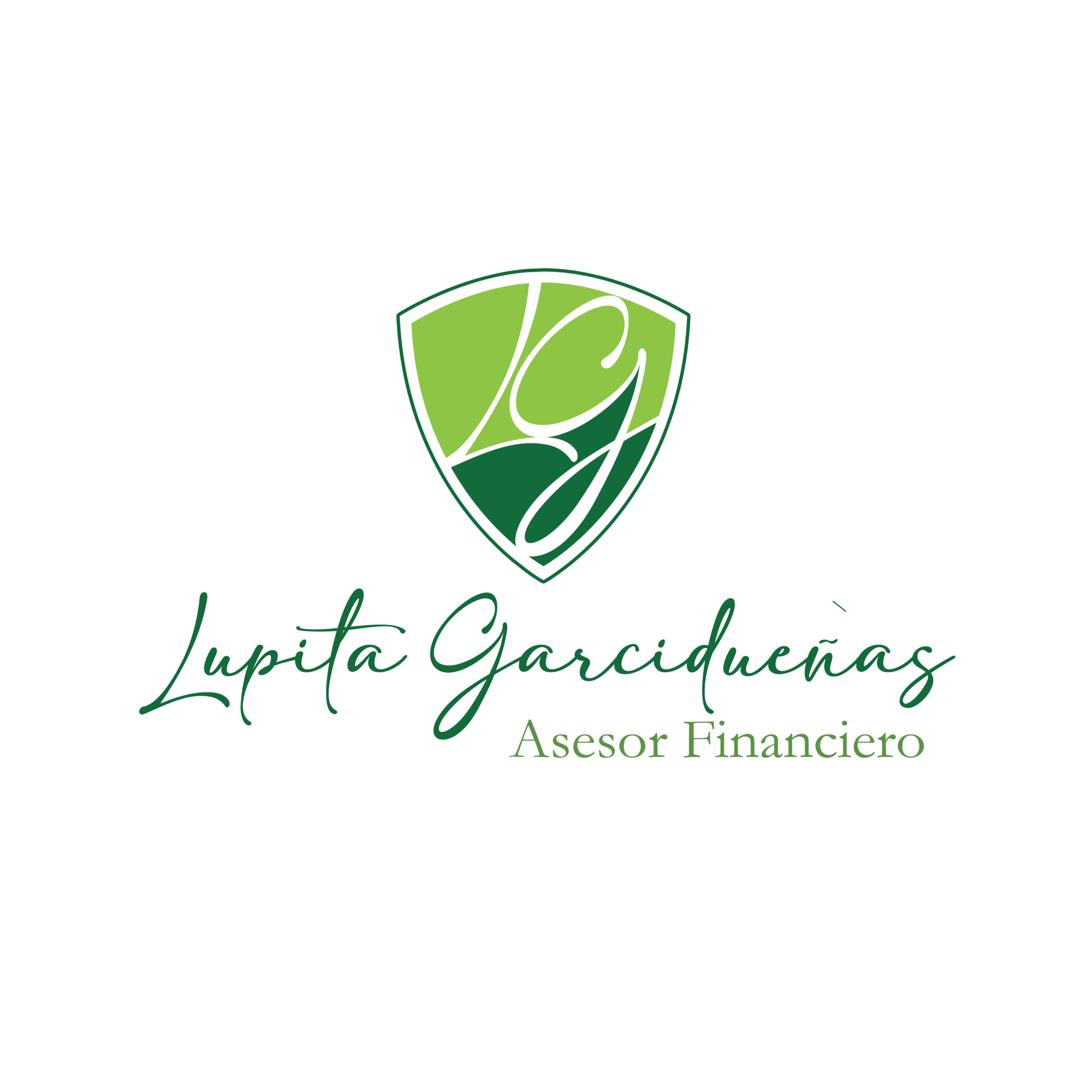 Asesor Seguros